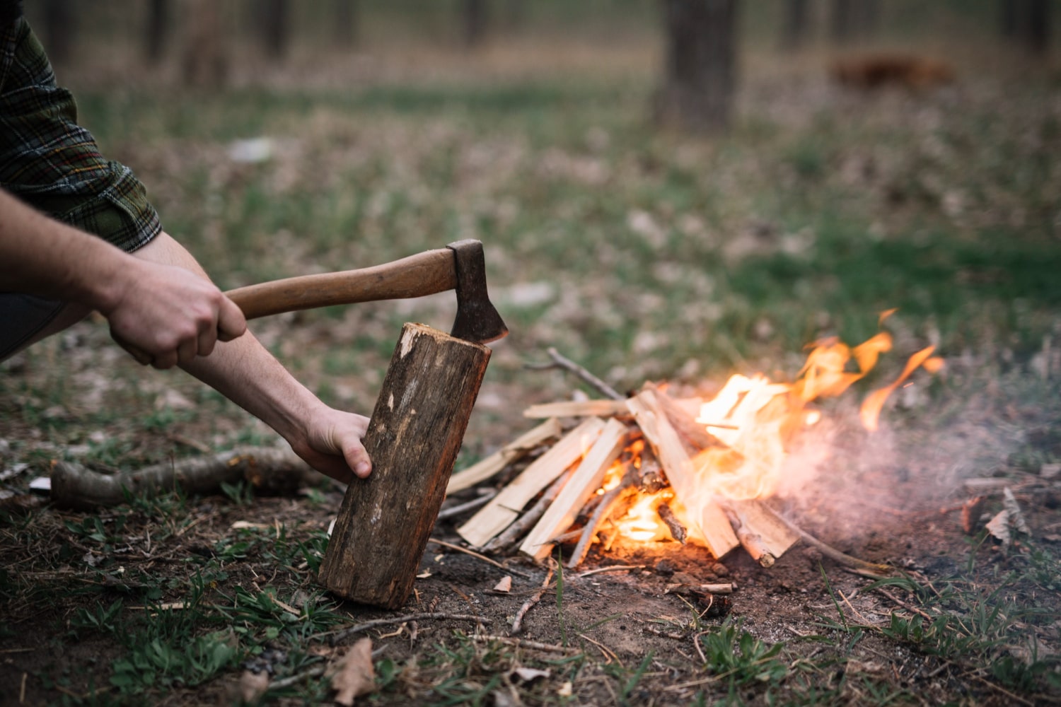 Van hakken tot werpen - deze bijlen horen in je survival-uitrusting