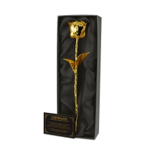 images/productimages/small/24k-golden-rose-black.jpg