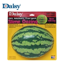 images/productimages/small/lekkende-meloen-target-daisy.jpg