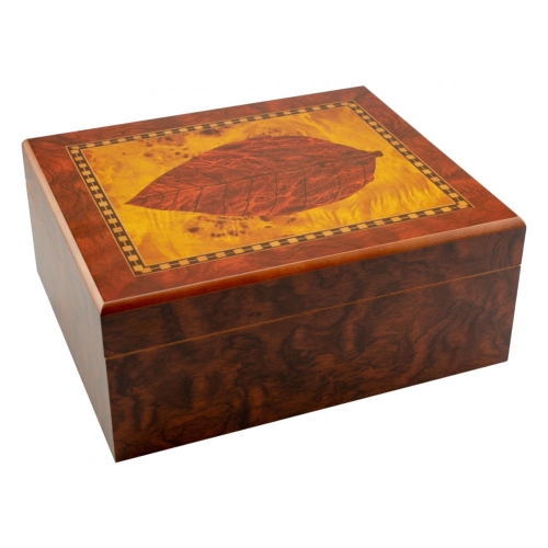 Humidor Tobacco Leaf