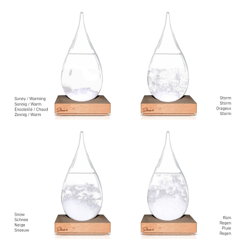 Storm glass - Globe